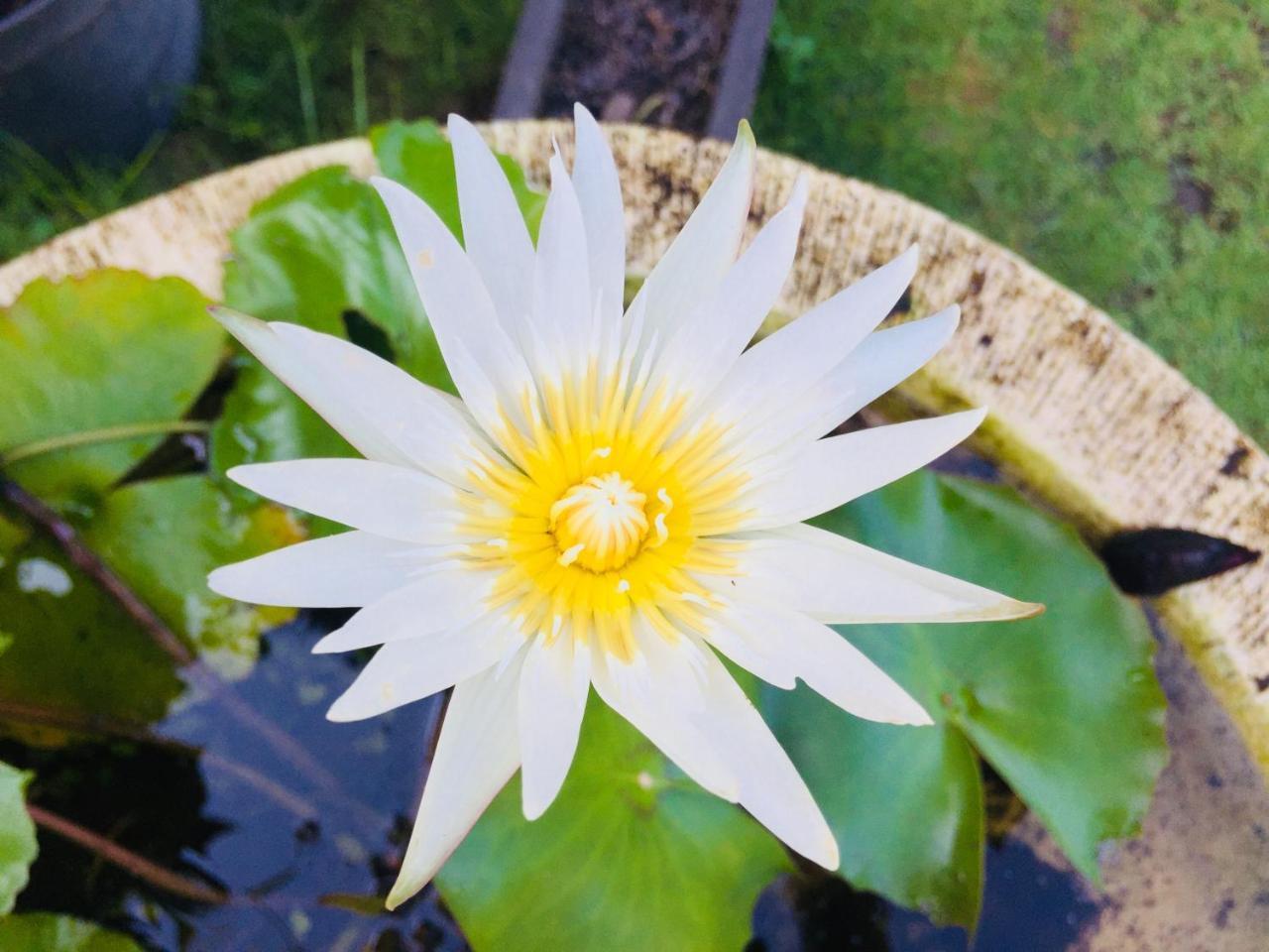 Mutiara Bali Candidasa Exterior foto